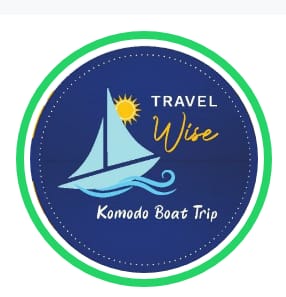 Travel Wise Komodo Trip